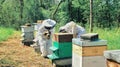 Beekeeping, havesting honey, Beekeeping concept, apiary in France