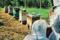 Beekeeping, havesting honey, Beekeeping concept, apiary in France Royalty Free Stock Photo