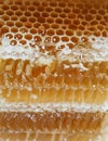Honey, sweet honey, delicious, beekeeping, honeycomb, natural products