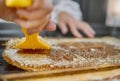 Beekeeping, honeycomb and hands with tools for honey collection, extraction and production process. Nature, farming and