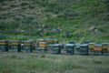 Beekeeping in the mountains