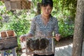 Beekeeping in the Mekong delta