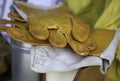 Beekeeping protective gloves Royalty Free Stock Photo