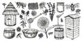 Beekeeping Sketch Icon Set. Honey Vintage Set With Bee Beehive, Glass Jar And Spoon, Bees, Melliferous Flowers. Hand