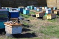 Beekeeping