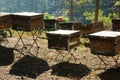 Beekeeping at Vietnam, beehive, bee honey