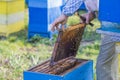 Beekeeper checking hive Royalty Free Stock Photo