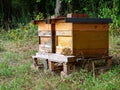 Beekeeping with wooden beeyards