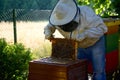 Beekeping and beekeeper.