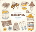 Beekeping Sketches Collection Royalty Free Stock Photo