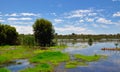 Beelier Wetland Reserve, Western Australia Royalty Free Stock Photo