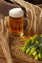 Beer Royalty Free Stock Photo