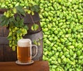 Beer Royalty Free Stock Photo