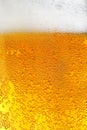 Beer Royalty Free Stock Photo