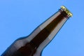 Brown glass beer bottle Royalty Free Stock Photo