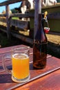 Beer at Alp with cows in background quaint spot Royalty Free Stock Photo