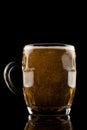 Beer Royalty Free Stock Photo