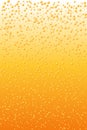 Beer Background