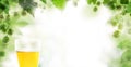 Beer background. Beer glass and hops leaves Royalty Free Stock Photo