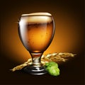 Beer background. Highly realistic illustration with the effect o