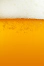 Beer Background Royalty Free Stock Photo