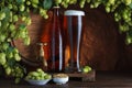 Beer with barrel, barley and fresh hops for brewing Royalty Free Stock Photo