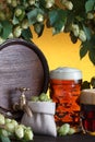 Beer barrel with beer glass, fresh hops and wheat Royalty Free Stock Photo