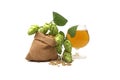 Beer or beverage still life with hops and barley Royalty Free Stock Photo
