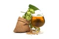 Beer or beverage still life with hops and barley Royalty Free Stock Photo