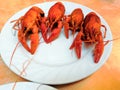 Beer, boiled crawfish with lemon and rosemary. Shallow dof