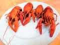 Beer, boiled crawfish with lemon and rosemary. Shallow dof