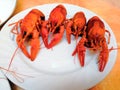 Beer, boiled crawfish with lemon and rosemary. Shallow dof