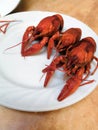 Beer, boiled crawfish with lemon and rosemary. Shallow dof Royalty Free Stock Photo