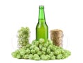 Beer botlle and green hop.