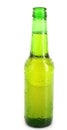 Beer bottle Royalty Free Stock Photo