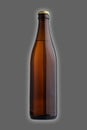 Beer bottle Royalty Free Stock Photo