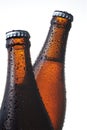 Beer bottle