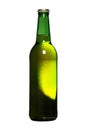 Beer bottle Royalty Free Stock Photo