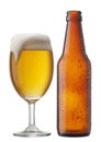 Beer with bottle Royalty Free Stock Photo
