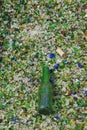 Beer Bottle on Broken Glass Royalty Free Stock Photo