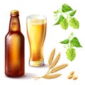 Beer bottle of brown glass with a full glass, wheat and hops. Royalty Free Stock Photo