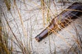Beer Bottle Royalty Free Stock Photo