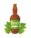 Beer bottle drink with leafs plant