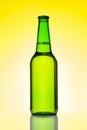 Beer bottle Royalty Free Stock Photo