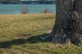 Beer bottle on the ground Royalty Free Stock Photo