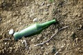 Thrown away beer bottle digged in to the ground Royalty Free Stock Photo