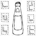 Beer Bottle. Hand Drawn Vector illustration.