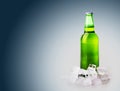 Beer bottle in ice cubes Royalty Free Stock Photo