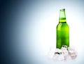 Beer bottle in ice cubes Royalty Free Stock Photo