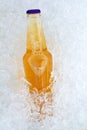 Beer bottle on ice fresh frosted glass Royalty Free Stock Photo